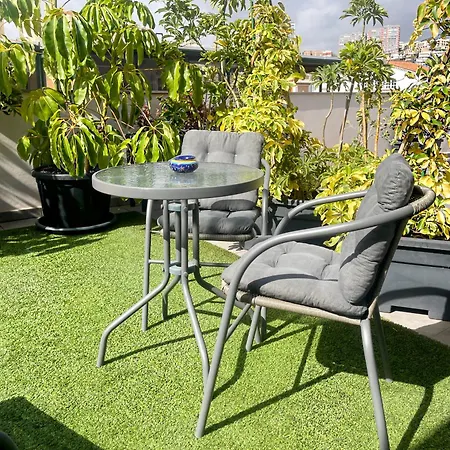 ホテル La Palmera Boutique 3*